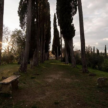 Апартаменти Casa Nel Chianti A Siena Ponte A Bozzone Екстер'єр фото