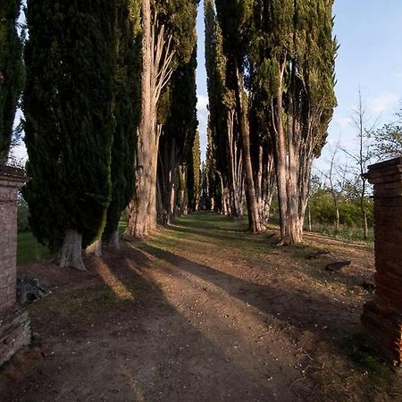 Апартаменти Casa Nel Chianti A Siena Ponte A Bozzone Екстер'єр фото