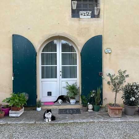 Апартаменти Casa Nel Chianti A Siena Ponte A Bozzone Екстер'єр фото